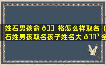 姓石男孩命 🐠 格怎么样取名（石姓男孩取名孩子姓名大 🐳 全2021）